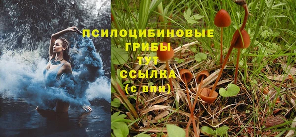 таблы Алексин