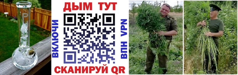 закладки  мориарти как зайти  Шишки марихуана тримм  Дудинка 
